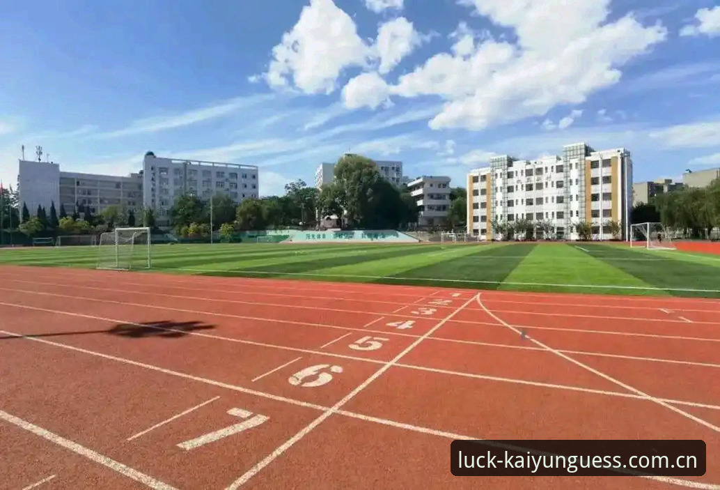 开云体育2024教程全面评测：新手也能轻松上手的竞猜体验报告
